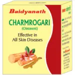 Baidyanath Charmrogari Ointment-Pack Size-25 g