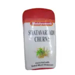Baidyanath Jhansi Shatavaryadi Churna, 60 g-1