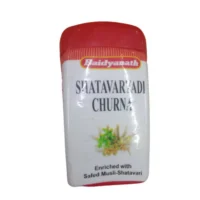 Baidyanath Jhansi Shatavaryadi Churna, 60 g-1