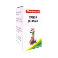 Baidyanath Jhansi Vanga Bhasma, 10 g-1