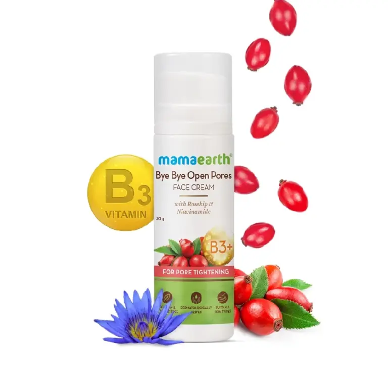 Bye Bye Open Pores Face Cream with Rosehip & Niacinamide For Pore Tightening, 30g-1