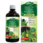 Dabur Jamun Neem Karela Juice, 1 L-1