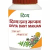Patanjali Divya Dant Manjan, 100 g-1
