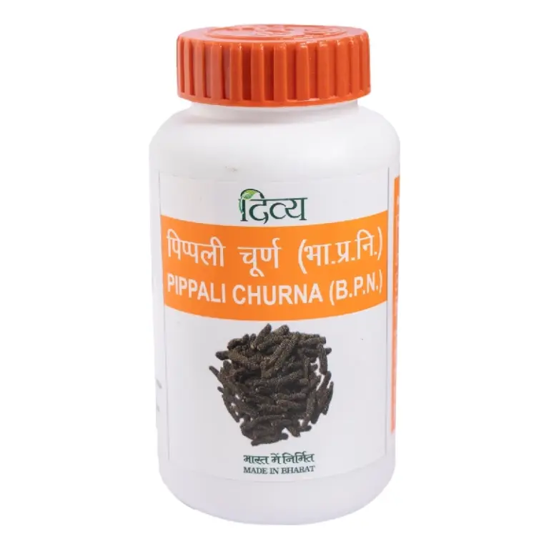 Patanjali Divya Pippali Churna, 100 g-1