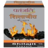 Patanjali Shilajeet Capsule, 11 g-1