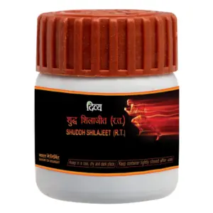 Patanjali Shuddh Shilajeet-Pack Size-20 g