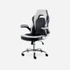 Height Adjustable Chair