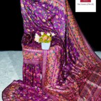 Pure Meenakari Pashmina Khaddi Banarasi