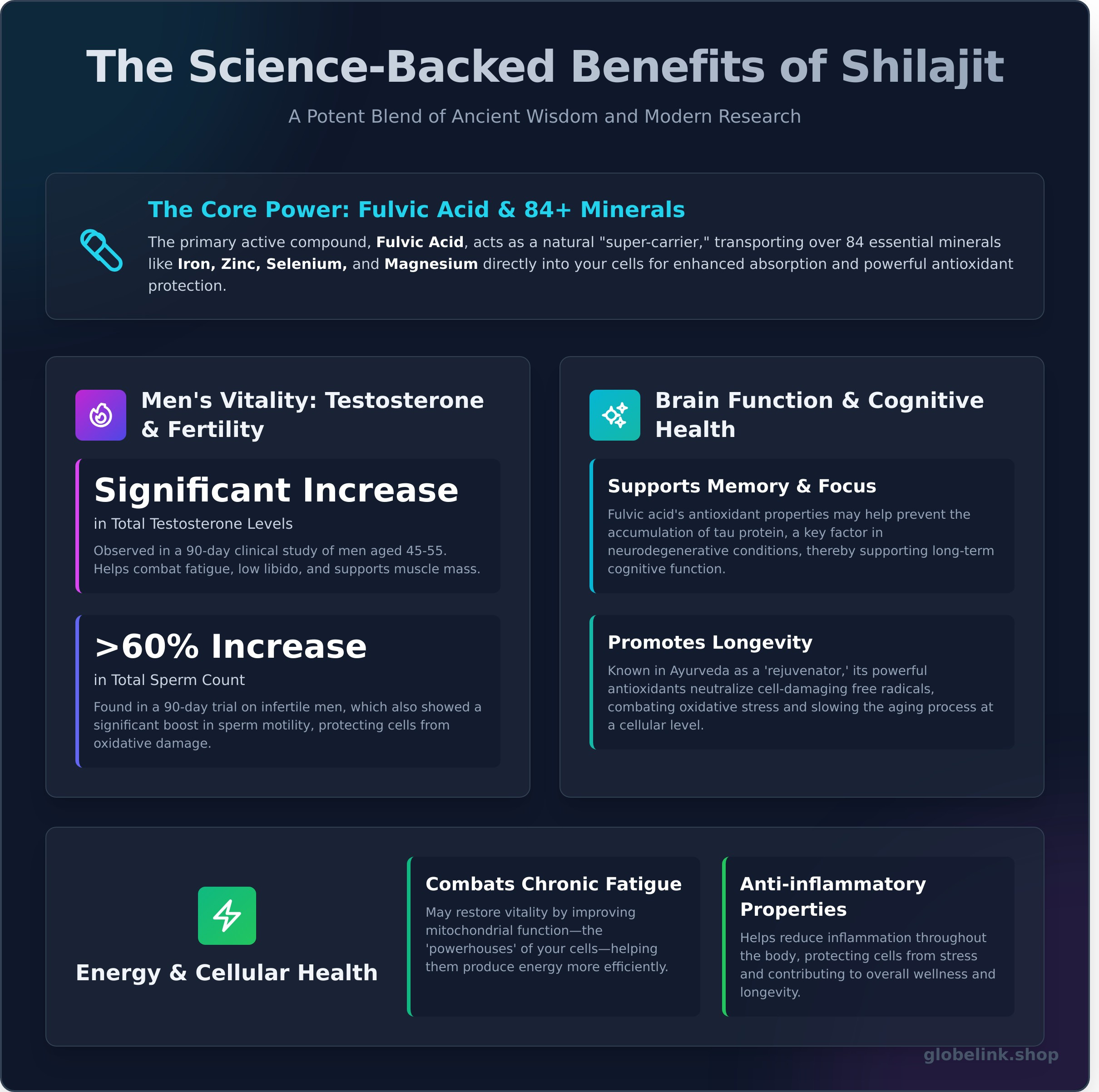 Top 7 Shilajit Benefits: A Science-Backed Guide - Infographic
